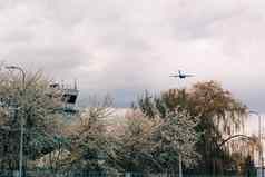 大灰色飞机采取机场控制塔开花树