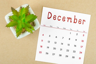 12月<strong>日历</strong>植物能棕色（的）纸背景