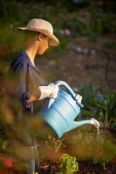 滋养花园拍摄年轻的女人浇水花园