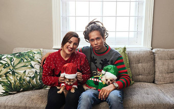 狗圣诞节精神肖像快乐的年轻的夫妇持有宠物狗坐着沙发圣诞节时间首页