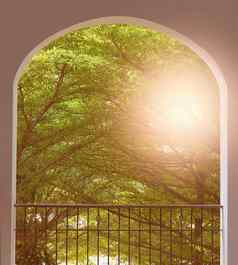 树分支机构花园拱窗口阳台早....时间
