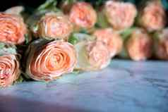 美丽的英语玫瑰花阳光美丽的peony-shaped浓密的粉红色的玫瑰情人节一天概念爱忠诚概念花商店小家庭业务