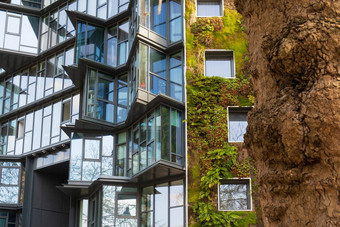 植被绿色建筑城市