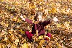 肖像女孩坐在黄色的树叶红色的毛衣裤子抛出叶子