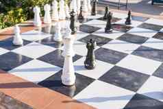 大塑料国际象棋集城市公园孩子们玩大国际象棋公园