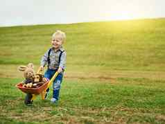 冒险大农场拍摄可爱的男孩推玩具独轮手推车填满塞动物农场