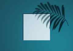 黑暗蒂尔阿卡蓝色的渲染最小的简单的前视图平躺产品显示背景讲台上站棕榈叶影子自然产品