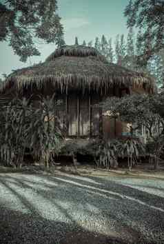 美丽的视图热带小屋热带木房子夏天木平房夏天小屋设计