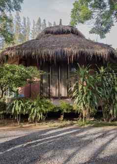 美丽的视图热带小屋热带木房子夏天木平房夏天小屋设计