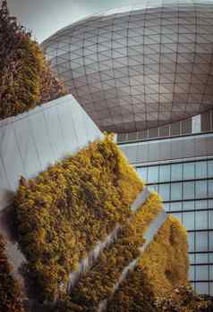 建筑视图现代高上升建筑设计玻璃混凝土蕨类植物绿色植物装修墙前面