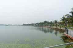 湖边散步景观视图一边湖内部生态旅游公园加尔各答印度南亚洲