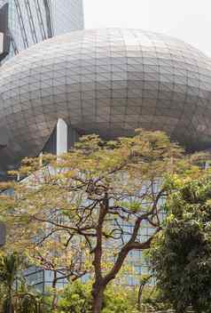小鹿绿色叶子树背景现代高层建筑设计玻璃混凝土