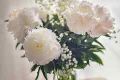 白色牡丹花花瓶白色背景