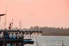 灯钓鱼船粉红色的日落天空
