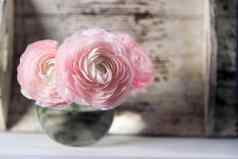 苍白的粉红色的毛茛属植物透明的轮花瓶白色窗台上复制空间的地方文本
