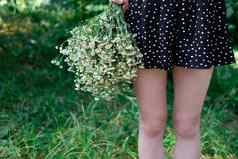 认不出来女人的腿黑色的衣服白色点白色野花在户外自然背景夏季