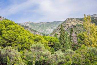 全景夏天景观美丽的绿色皇家公园米洛瑟海岸亚得里亚海海黑山共和国