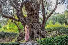 女人旅游年橄榄树正在尝试maslina布德瓦黑山共和国认为最古老的树欧洲旅游吸引力背景门的内哥罗山欧洲