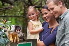 最后理解理论进化裁剪拍摄快乐年轻的家庭支出一天猴子圣所