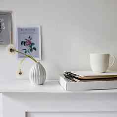 seventies-style槽花瓶毛茸茸的蒲公英梳妆台小图片花柔和的颜色墙白色杯茶站弹簧笔记本电脑