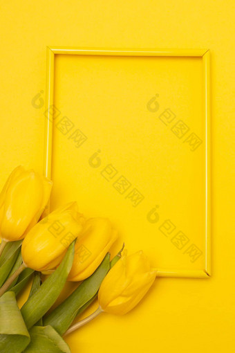 郁金香框架黄色的背景郁金香咖啡空间黄色的背景模型空间文本问候卡郁金香黄色的背景春天花