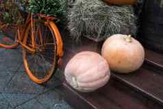 大南瓜橙色自行车装修入口房子夏娃万圣节
