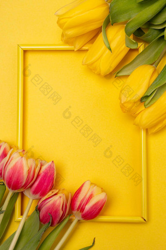 郁金香框架黄色的背景郁金香咖啡空间黄色的背景模型空间文本问候卡郁金香黄色的背景春天花