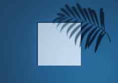 黑暗阿卡蓝色的渲染最小的简单的前视图平躺产品显示背景讲台上站棕榈叶影子自然产品