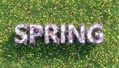春天标志花场完整的花