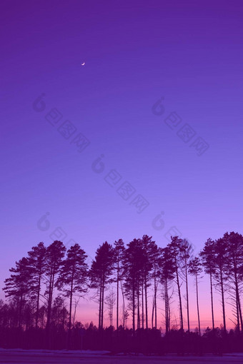 <strong>自然</strong>森<strong>林地</strong>平线轮廓树晚上日出日落景观壁纸插图风格色彩斑斓的视图背景天鹅绒紫罗兰色的垂直