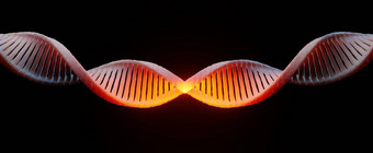 渲染螺旋互补海滩太太RNA序列遗传代码基因组基因表达式核苷酸数据库中央教条过程<strong>转录</strong>翻译人类基因