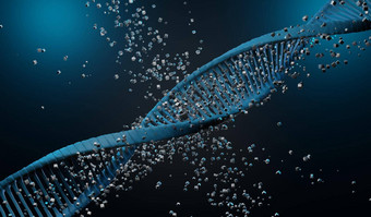 渲染螺旋互补海滩太太RNA序列遗传代码基因组基因表达式核苷酸数据库中央教条过程转录翻译人类基因