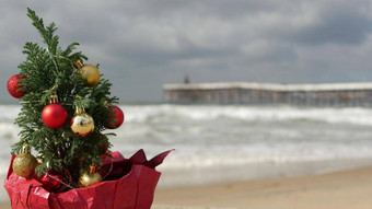 圣诞节树桑迪海海滩一年海洋海岸圣诞节加州