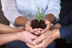 好护理业务蓬勃发展肖特集团商人手持有年轻的植物土壤