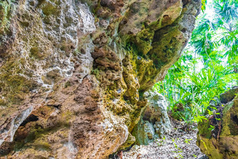 令人惊异的蓝色的绿松石水石灰石洞穴天坑天然井墨西哥