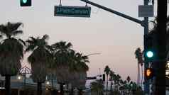 棕榈树城市这些洛杉矶街路标志信号量交通灯