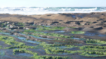 侵蚀潮池岩石形成加州滨海潮间带潮间带水坑区