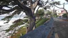 路径小道小径海洋海滩加州海岸海滨松柏树