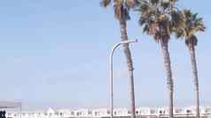 棕榈树木水晶码头别墅加州海洋海滩美国