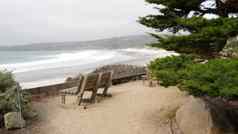 空木板凳上休息小径小道海洋海滩加州海岸树