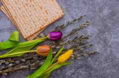 佩萨赫传统的庆祝活动犹太人假期洁食无酵饼面包仪式仪式祝福