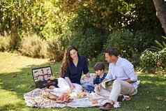 家庭野餐拍摄家庭享受野餐