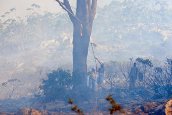 采取火树时间拍摄火战士打击野生火