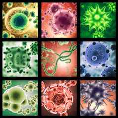 免疫系统准备好了结合图像微生物显微镜颜色
