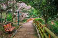 济州岛奥勒小道济州岛岛南韩国