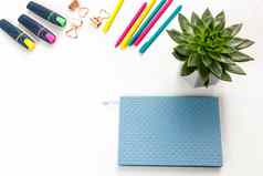 布局办公室回来学校蓝色的笔记本色彩斑斓的笔记号笔纸剪辑盆栽echeveria的地方文本
