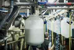 新鲜加工过的牛奶裁剪拍摄牛奶瓶填满乳制品