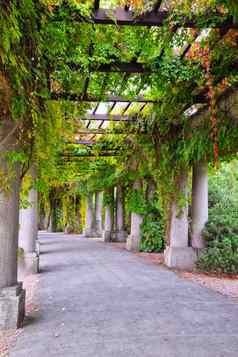 美丽的混凝土结构公园绿色植物