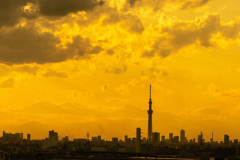 东京天空树包装黄昏东京城市景观