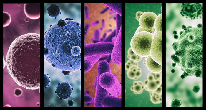 多色的微生物结合图像微生物颜色